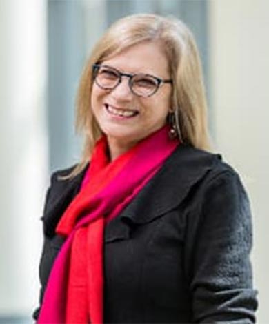 Pro Vice Chancellor