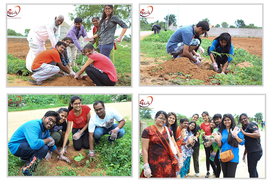 plantation-activities