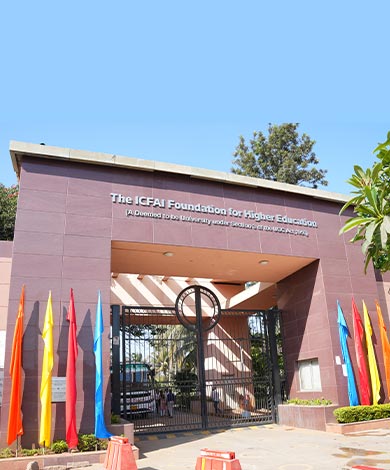 About IFHE